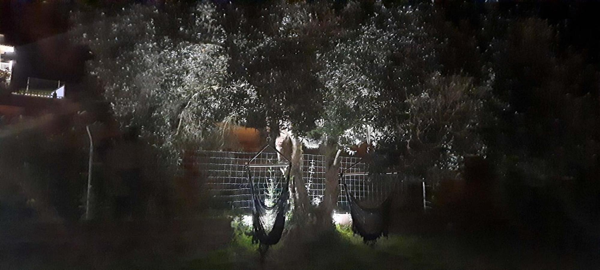 הוילה ואלדוויניו Casa Andrea מראה חיצוני תמונה